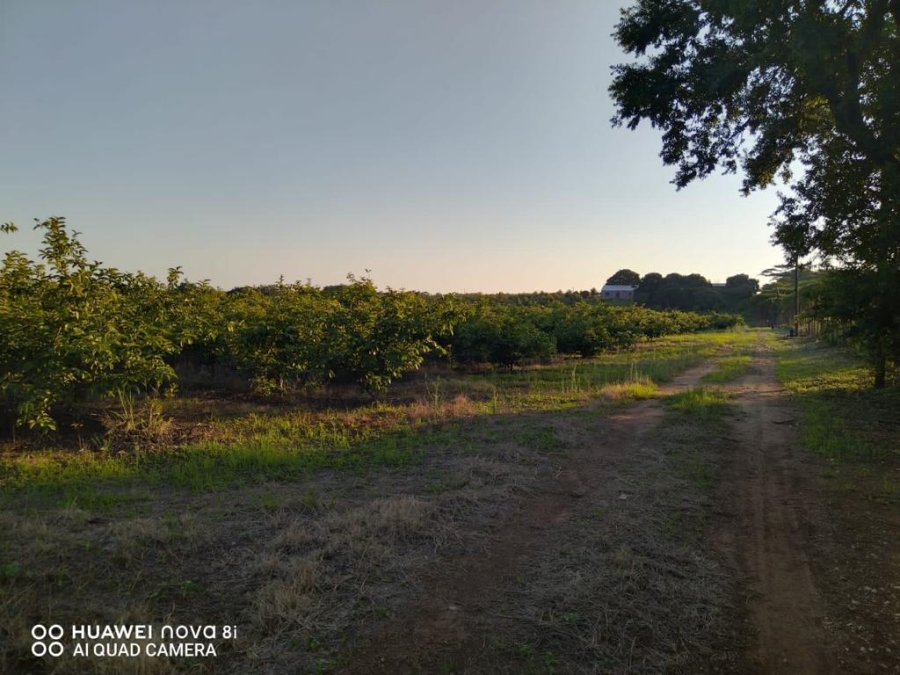 Commercial Property for Sale in Levubu Limpopo