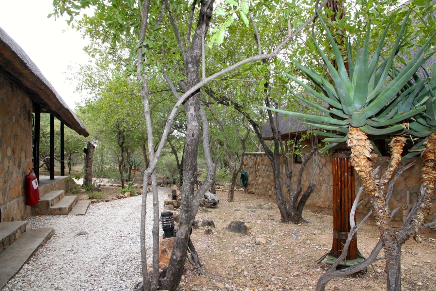 5 Bedroom Property for Sale in Lissataba Private Nature Reserve Limpopo