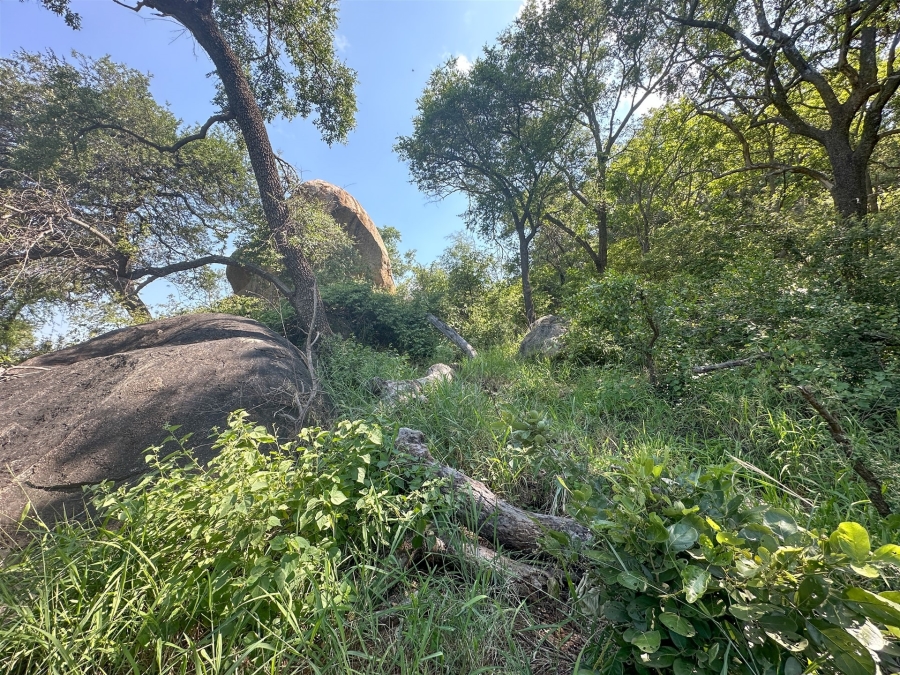 7 Bedroom Property for Sale in Selati Game Reserve Limpopo