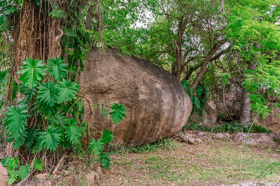 7 Bedroom Property for Sale in Selati Game Reserve Limpopo