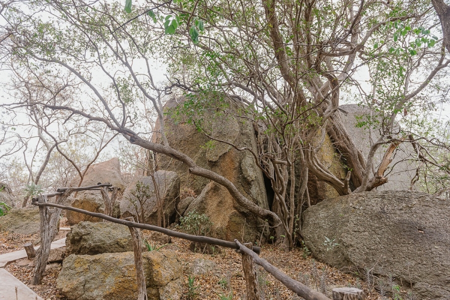 7 Bedroom Property for Sale in Selati Game Reserve Limpopo