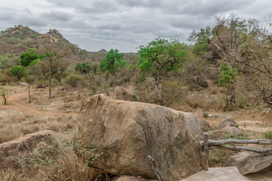 7 Bedroom Property for Sale in Selati Game Reserve Limpopo