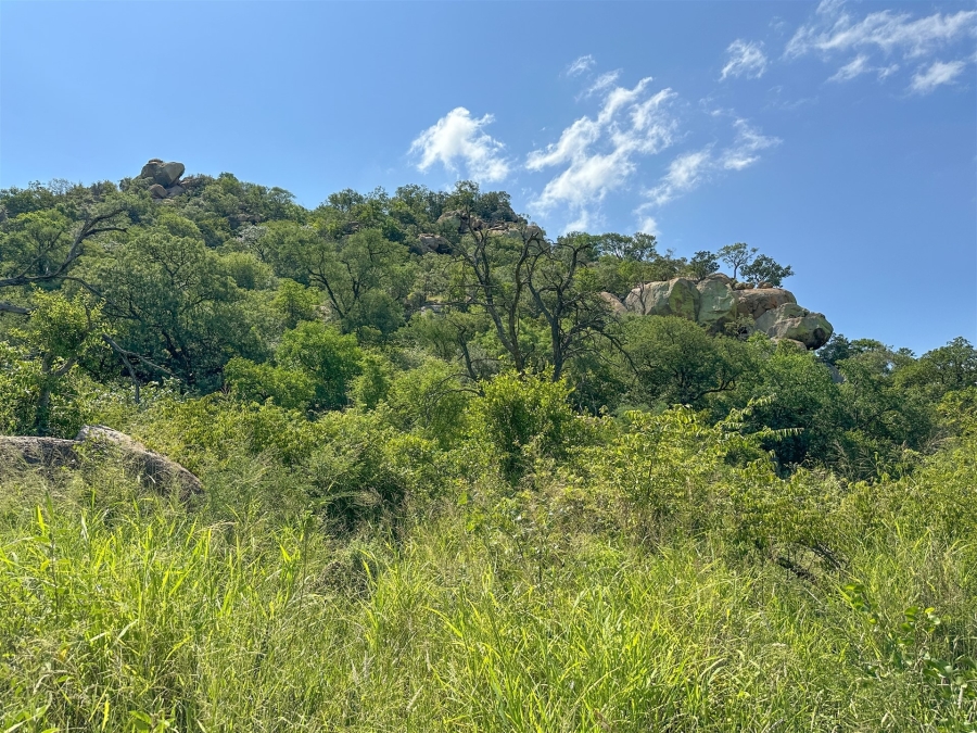 7 Bedroom Property for Sale in Selati Game Reserve Limpopo