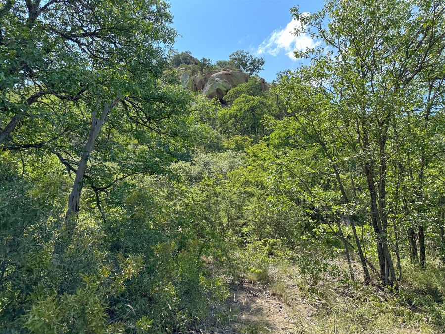 7 Bedroom Property for Sale in Selati Game Reserve Limpopo