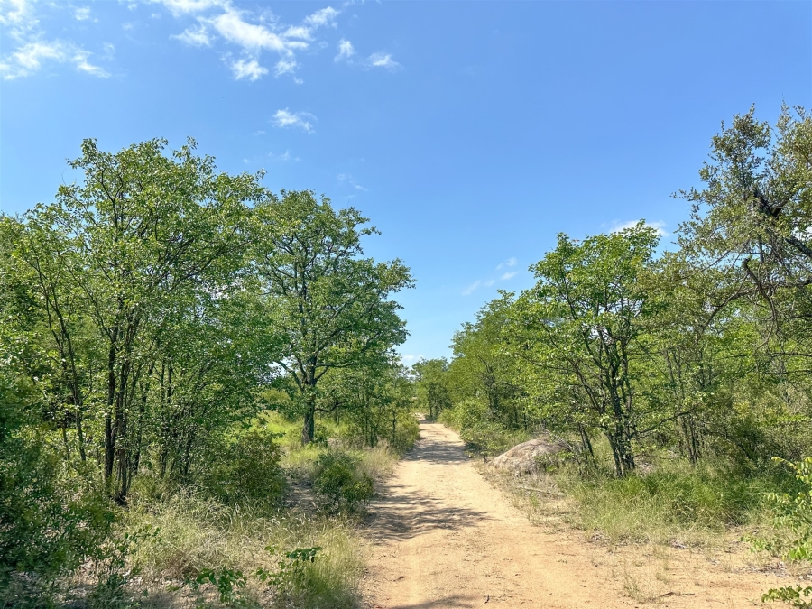 7 Bedroom Property for Sale in Selati Game Reserve Limpopo