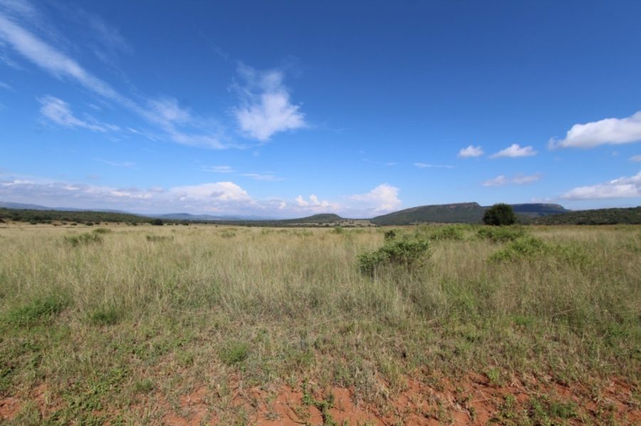 0 Bedroom Property for Sale in Modimolle Limpopo