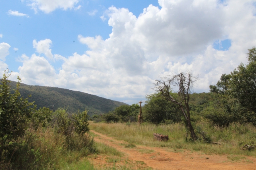 0 Bedroom Property for Sale in Modimolle Limpopo