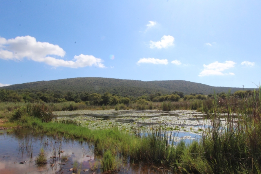 0 Bedroom Property for Sale in Modimolle Limpopo