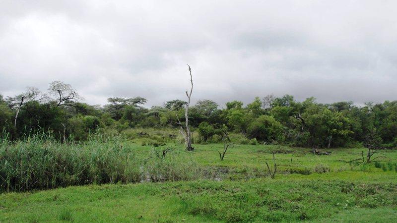 3 Bedroom Property for Sale in Sterkrivier Limpopo