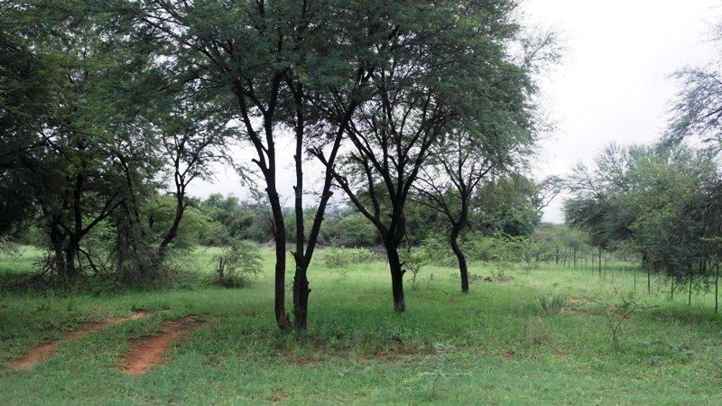 3 Bedroom Property for Sale in Sterkrivier Limpopo