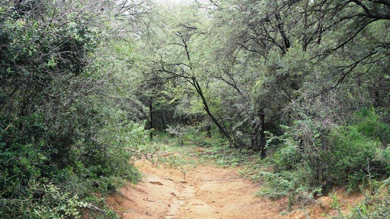 3 Bedroom Property for Sale in Sterkrivier Limpopo