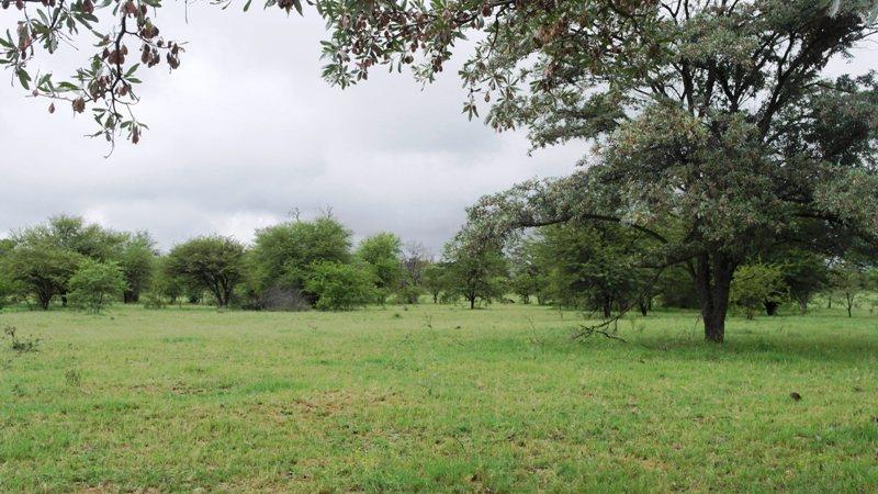 3 Bedroom Property for Sale in Sterkrivier Limpopo