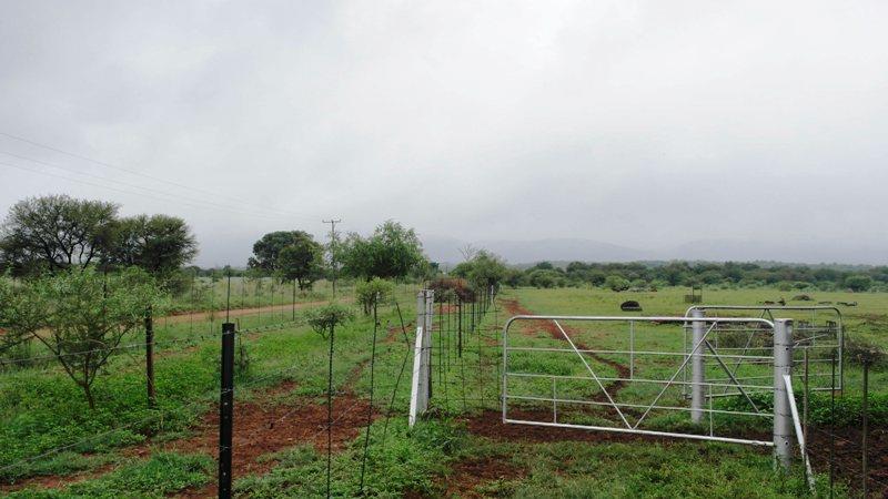 3 Bedroom Property for Sale in Sterkrivier Limpopo