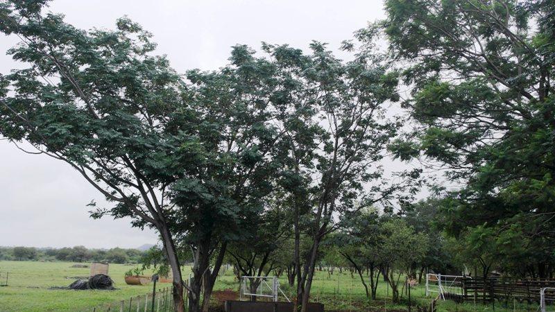 3 Bedroom Property for Sale in Sterkrivier Limpopo