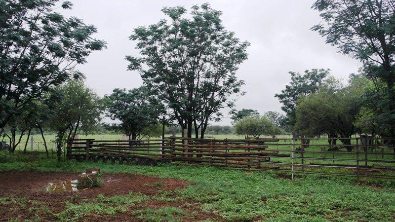 3 Bedroom Property for Sale in Sterkrivier Limpopo