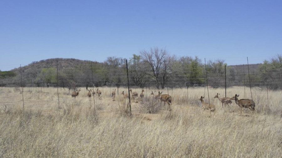 0 Bedroom Property for Sale in Lephalale Limpopo