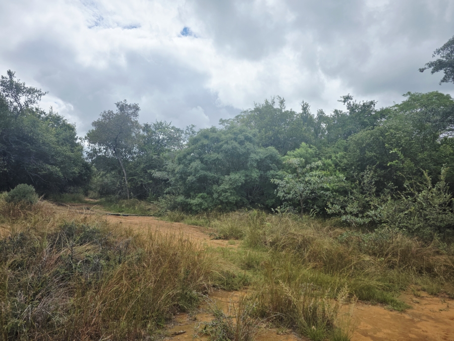 0 Bedroom Property for Sale in Lephalale Limpopo