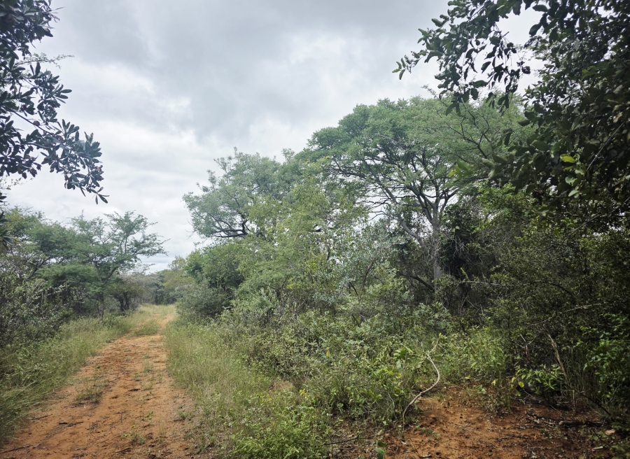 0 Bedroom Property for Sale in Lephalale Limpopo