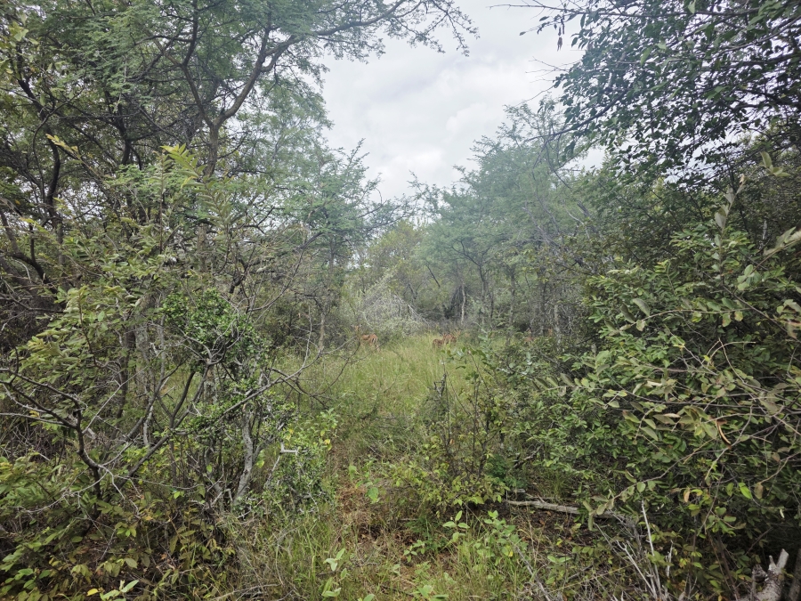 0 Bedroom Property for Sale in Lephalale Limpopo