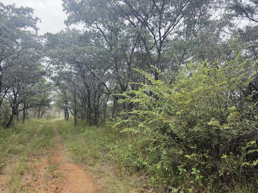 0 Bedroom Property for Sale in Lephalale Limpopo