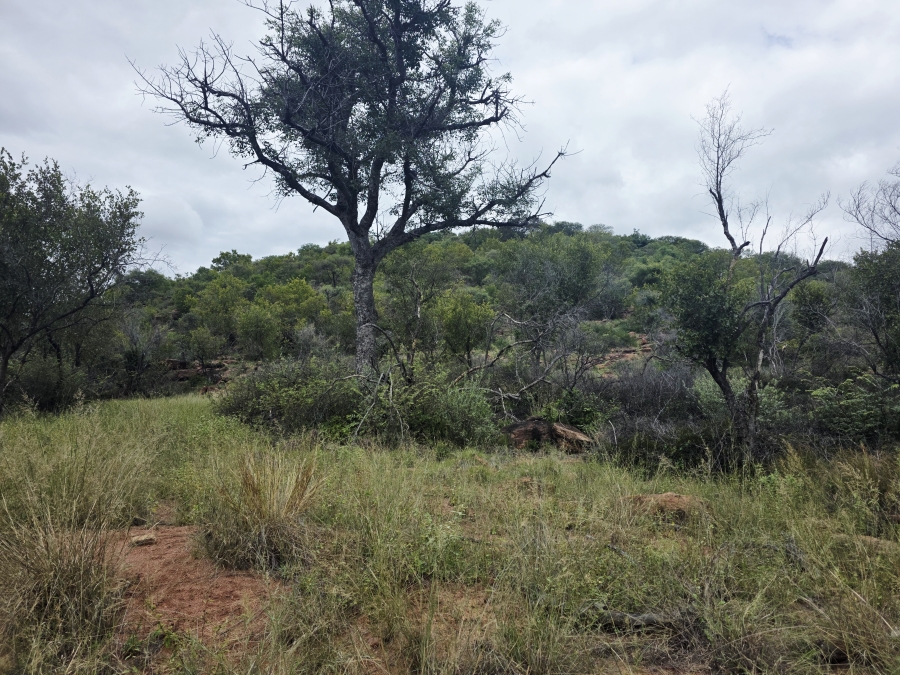 0 Bedroom Property for Sale in Lephalale Limpopo