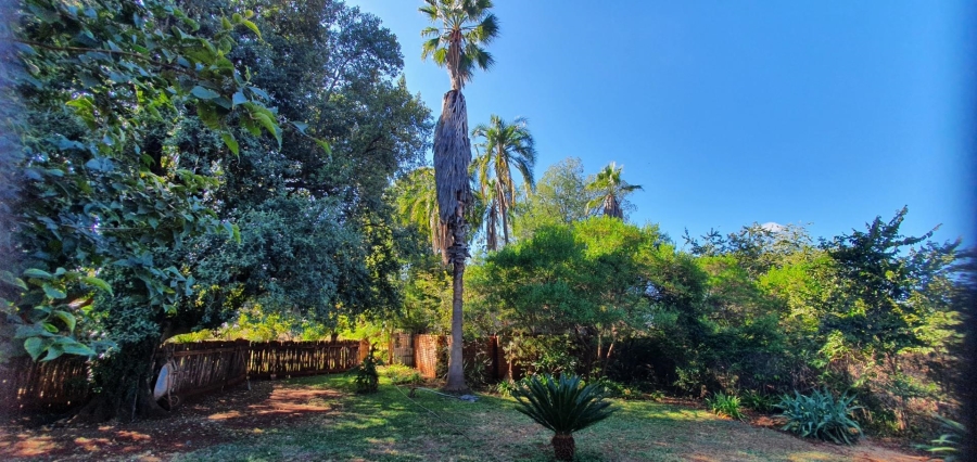 8 Bedroom Property for Sale in Roedtan Limpopo