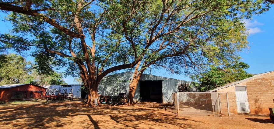 8 Bedroom Property for Sale in Roedtan Limpopo