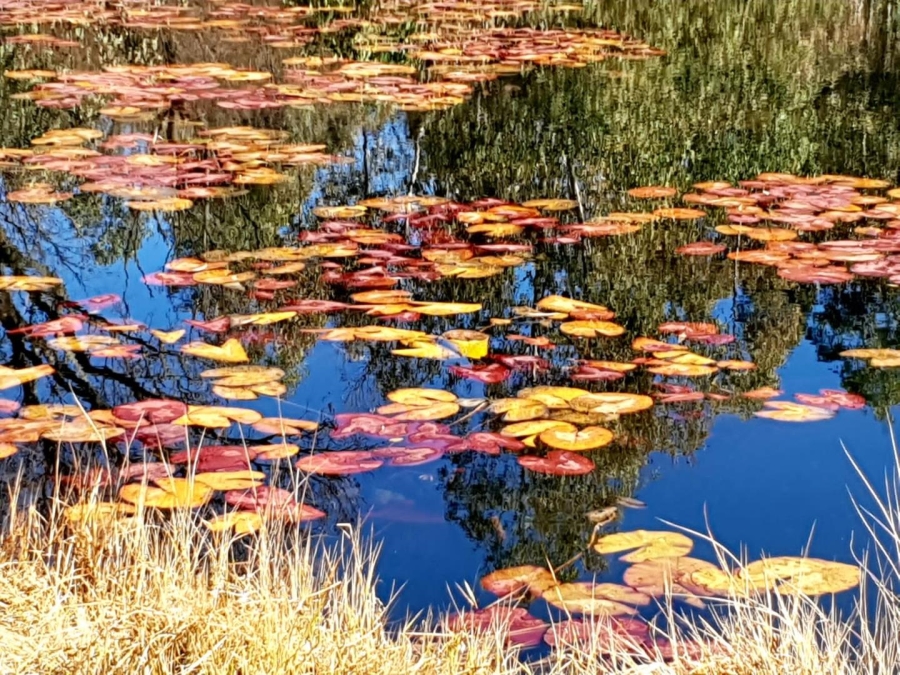 0 Bedroom Property for Sale in Nylsoog Wind and Eco Estate Limpopo