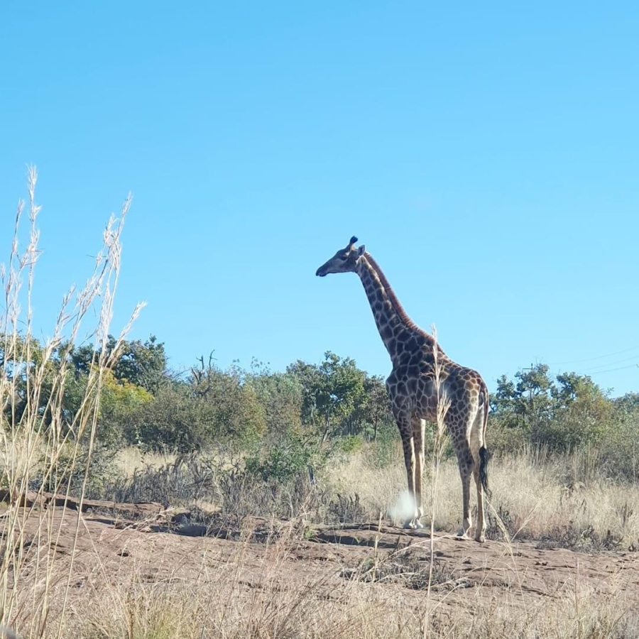0 Bedroom Property for Sale in Nylsoog Wind and Eco Estate Limpopo