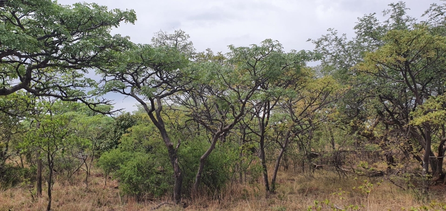 0 Bedroom Property for Sale in Nylsoog Wind and Eco Estate Limpopo