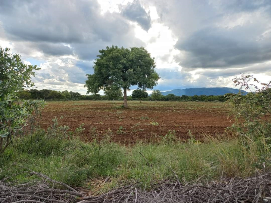 5 Bedroom Property for Sale in Mokopane Rural Limpopo