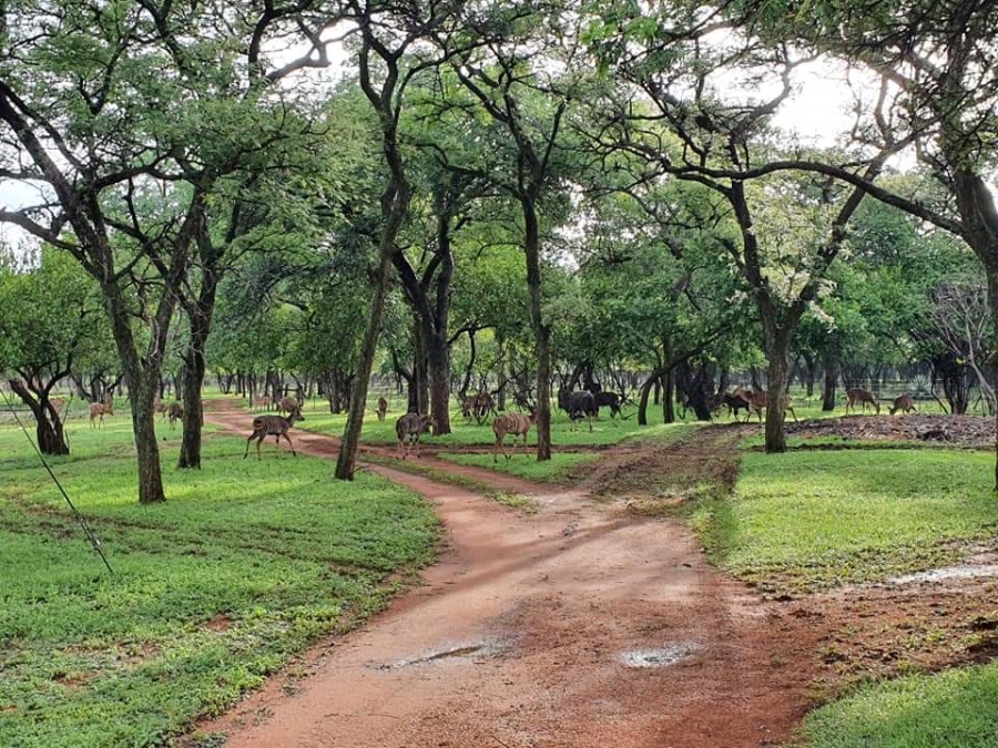 5 Bedroom Property for Sale in Mokopane Rural Limpopo