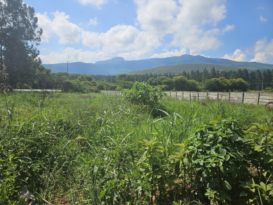 0 Bedroom Property for Sale in Louis Trichardt Limpopo