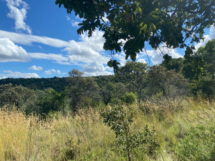 0 Bedroom Property for Sale in Euphoria Golf Estate Limpopo