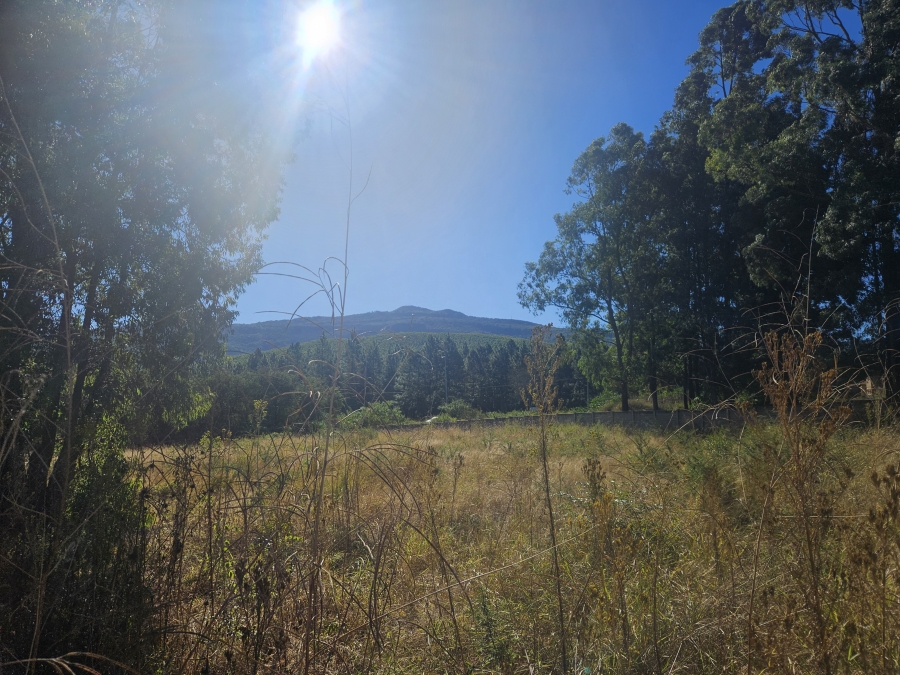 0 Bedroom Property for Sale in Louis Trichardt Limpopo