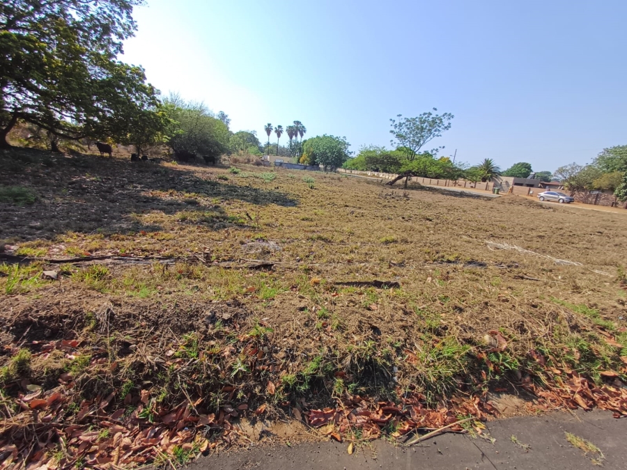 0 Bedroom Property for Sale in Louis Trichardt Limpopo