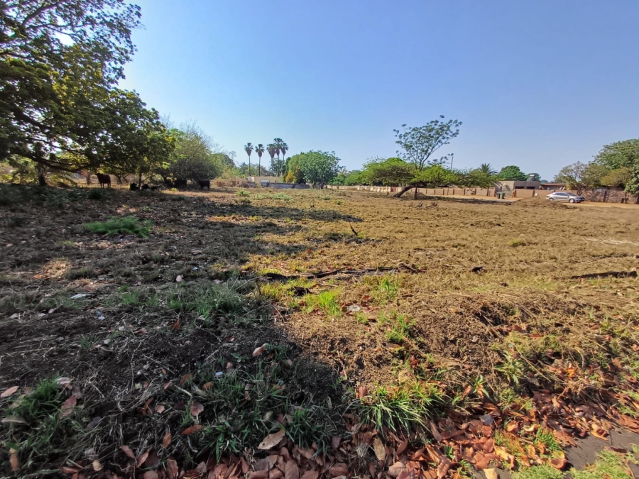 0 Bedroom Property for Sale in Louis Trichardt Limpopo