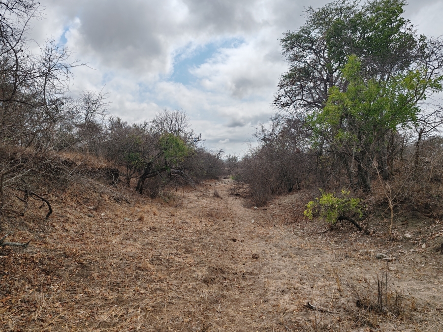 Commercial Property for Sale in Makhado Limpopo