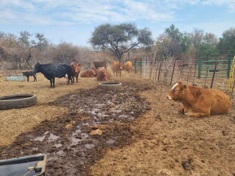 Commercial Property for Sale in Thabazimbi Limpopo