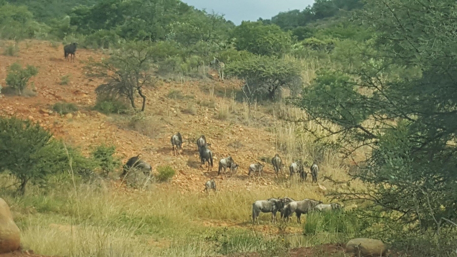 7 Bedroom Property for Sale in Ohrigstad Limpopo