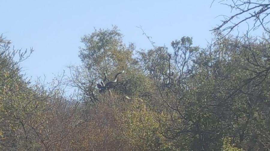 7 Bedroom Property for Sale in Ohrigstad Limpopo