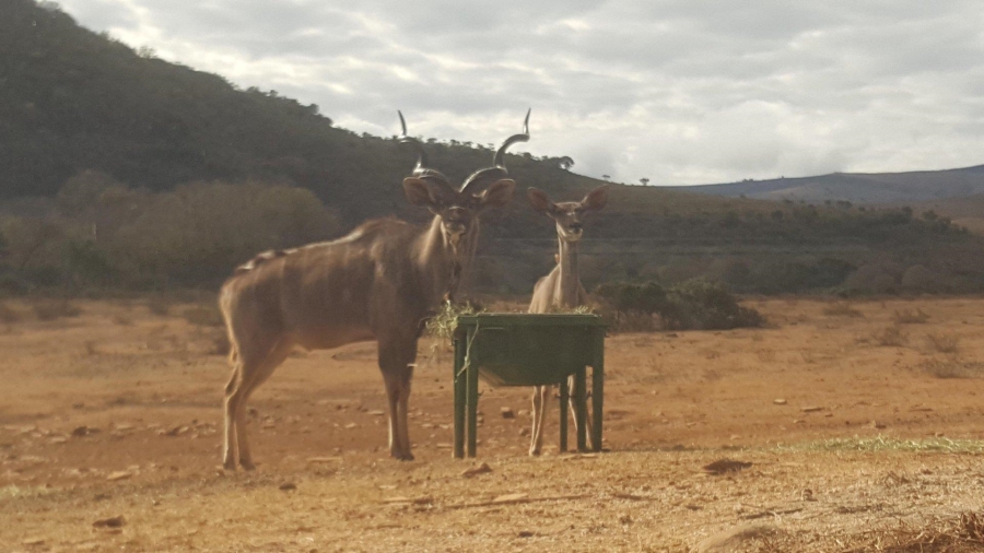 7 Bedroom Property for Sale in Ohrigstad Limpopo