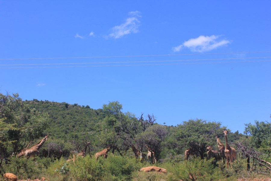 7 Bedroom Property for Sale in Ohrigstad Limpopo