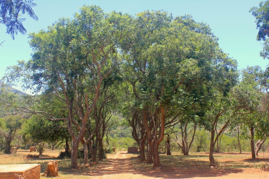 7 Bedroom Property for Sale in Ohrigstad Limpopo