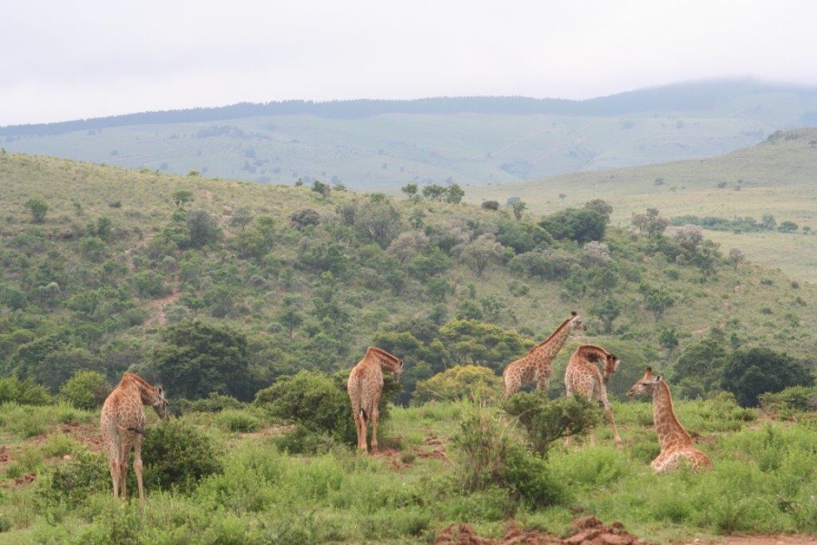 7 Bedroom Property for Sale in Ohrigstad Limpopo