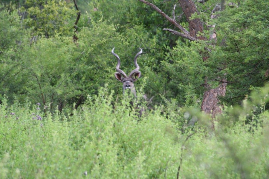 7 Bedroom Property for Sale in Ohrigstad Limpopo