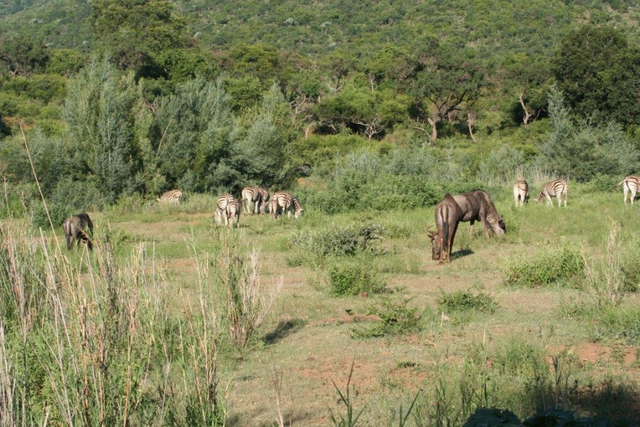 7 Bedroom Property for Sale in Ohrigstad Limpopo