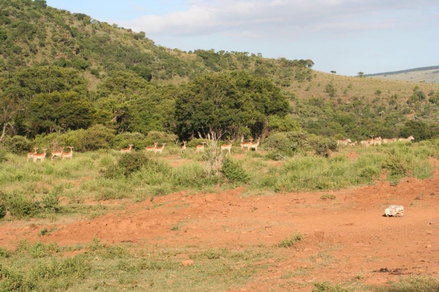 7 Bedroom Property for Sale in Ohrigstad Limpopo