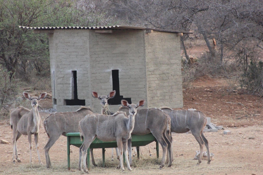 7 Bedroom Property for Sale in Ohrigstad Limpopo