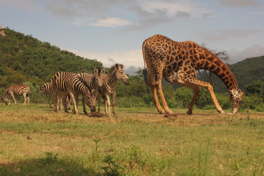 7 Bedroom Property for Sale in Ohrigstad Limpopo